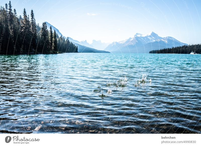 kanada Maligne Lake Rocky Mountains See Fernweh Ferien & Urlaub & Reisen Wald Ferne Kanada Abenteuer Natur Landschaft Nordamerika Himmel Alberta Wasser Seeufer