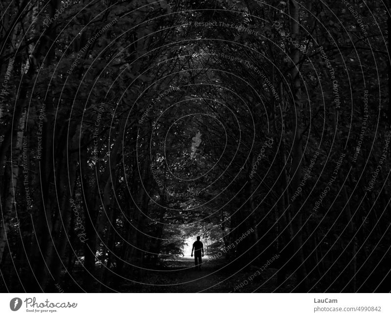 Der Weg ist das Ziel Wald dichter Wald Baum Bäume Wanderer Waldweg Tunnel Tunnelblick Tunneleffekt Wege & Pfade Spaziergang wandern Einsamkeit einsam