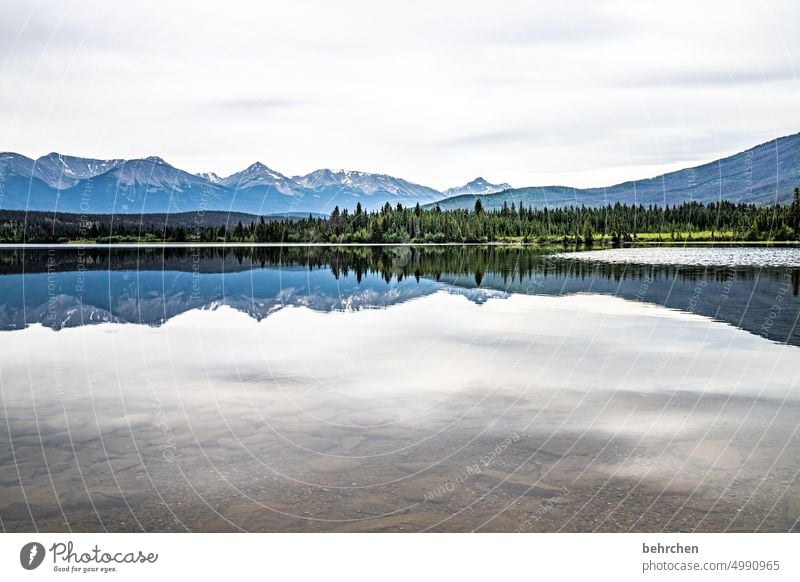 stille friedlich Ruhe Alberta Abenteuer Freiheit Jasper National Park See Kanada Berge u. Gebirge Landschaft Außenaufnahme Natur Rocky Mountains Nordamerika