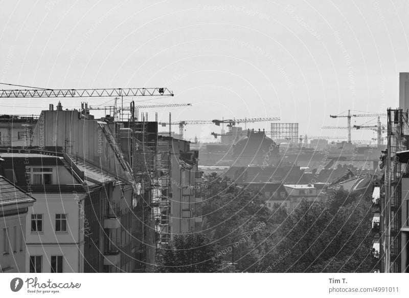 Herbst in meiner Straße Berlin Prenzlauer Berg bnw kastanienallee Baukran Stadtzentrum Außenaufnahme Hauptstadt Altstadt Menschenleer Tag Schwarzweißfoto