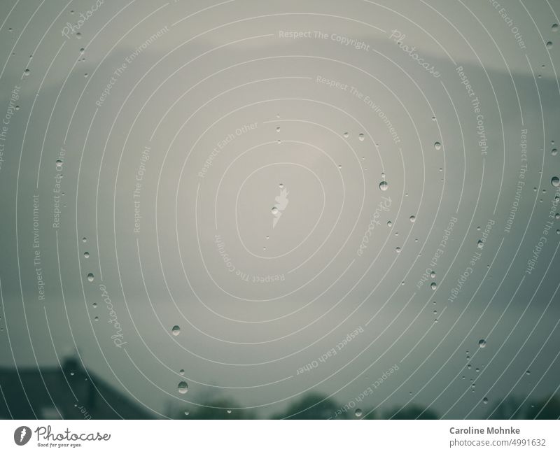 Blick zum Fenster hinaus bei Regenwetter regen schlechtes Wetter nass Wassertropfen Regentropfen Tropfen Natur Nahaufnahme Außenaufnahme Detailaufnahme Herbst