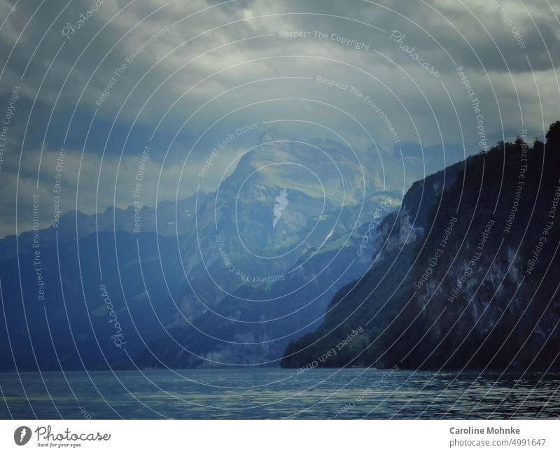 Blick in die See- und Berglandschaft in Brunnen/Schweiz Berge Tourismus Alpen Berge u. Gebirge Natur Landschaft Außenaufnahme Farbfoto Umwelt Menschenleer Tag