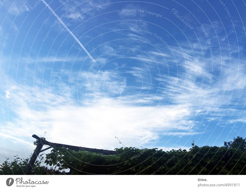 Abendhimmel über Laube Himmel Wolken Pflanzen Gartenhaus Konstruktion Gartenlaube Bauwerk Veranda Kondensstreifen Abendlicht Silhouette Dämmerung Abenddämmerung