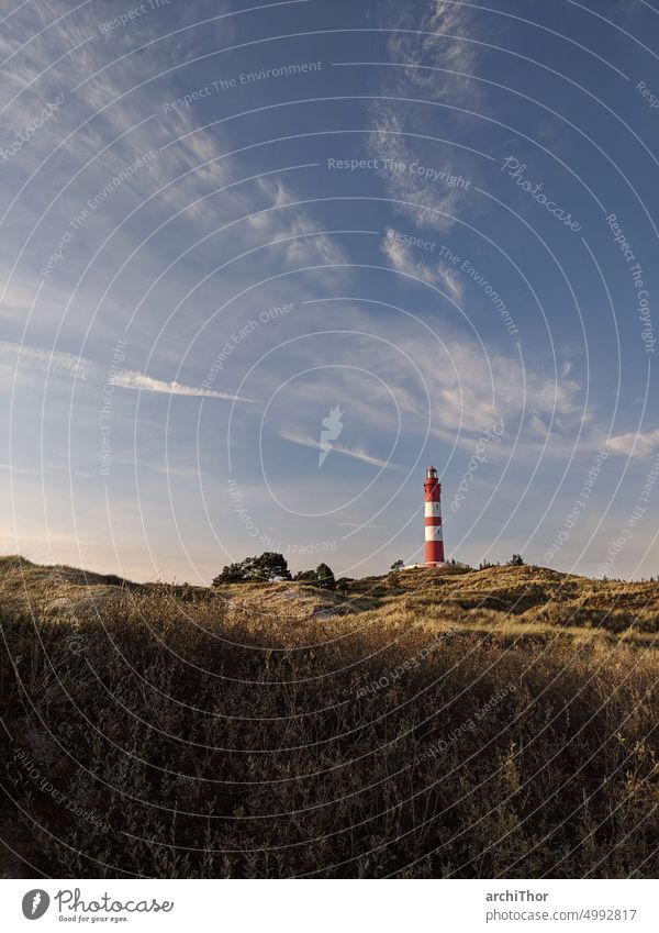 Leuchtturm in den Dünen Leuchtturm Amrum Dünen am Strand Erholung Abendsonne Himmel Nordsee Küste Landschaft Natur