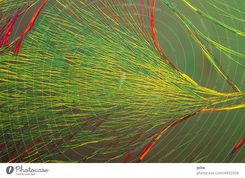 Dies ist ein Bild der Kristalle der chemischen Substanz Natriumplatincyanid, aufgenommen mit einem Mikroskop in polarisiertem Licht 3d-Hintergrund abstrakt