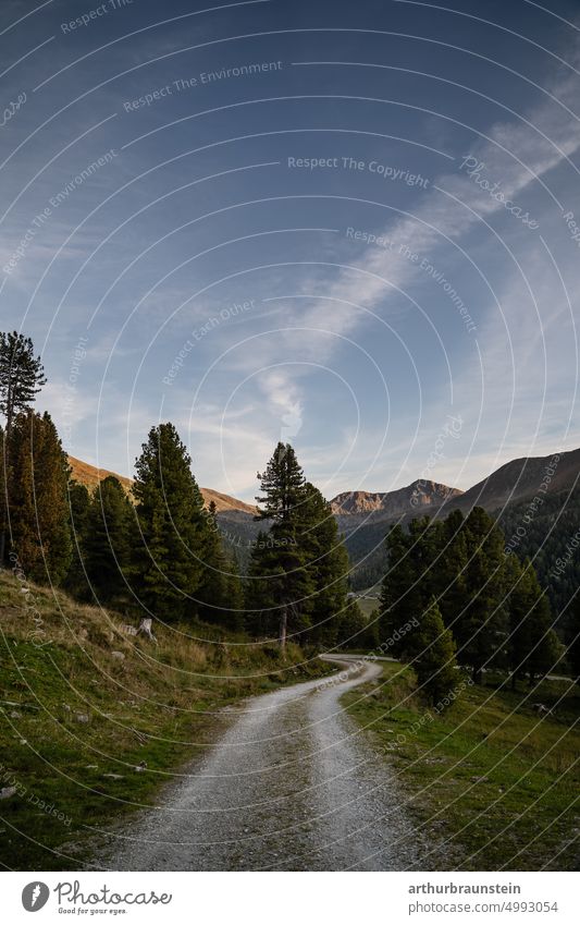 Wanderweg vom Berg hinunter ins Tal im Spätsommer wanderweg wandern Wanderung Natur Landschaft Berge u. Gebirge Außenaufnahme wanderlust Ausflug Tourismus