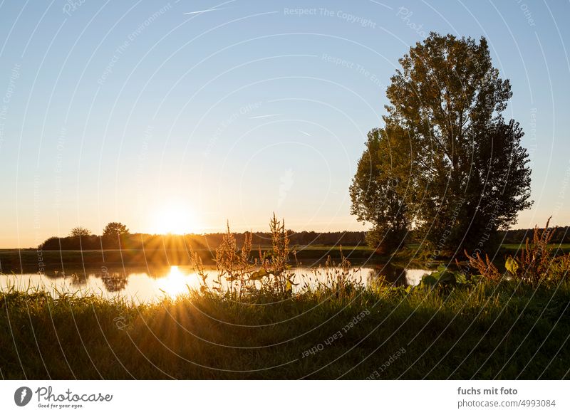 klassischer Sonnenuntergang am Weiher. Reflexion Sonnenuntergangshimmel Sonnenuntergangsstimmung Abend Außenaufnahme Dämmerung Landschaft Sonnenuntergangslicht