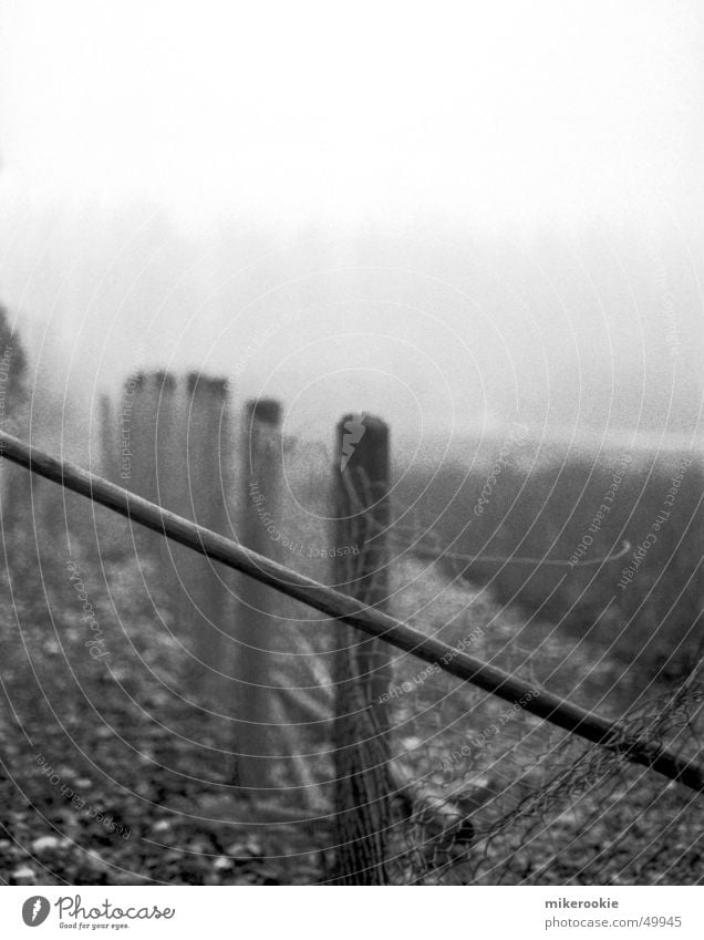 Zaun im Nebel Schwarzweißfoto Außenaufnahme Textfreiraum oben Starke Tiefenschärfe Natur Schranke alt gruselig kalt schwarz Einsamkeit brechen Durchbruch Draht