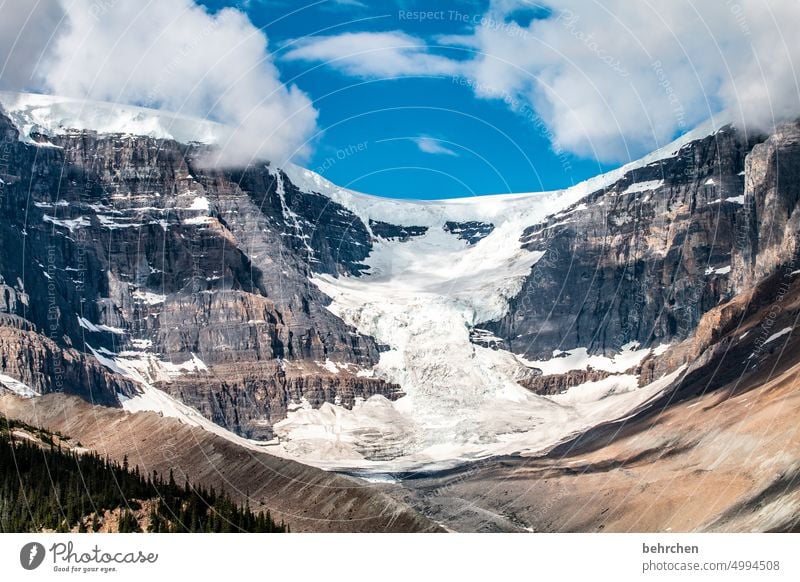 eiszeit Wasser Icefields Parkway Felsen Ferne Fernweh Alberta Ferien & Urlaub & Reisen besonders fantastisch Außenaufnahme Natur Rocky Mountains Farbfoto