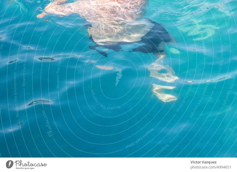 Silhouette eines Mannes unter Wasser in einem Schwimmbad, Sommerzeit Fitness Muskel horizontal Wellness im Freien Vergnügen Ruhe Spaß Gesundheit männlich Athlet