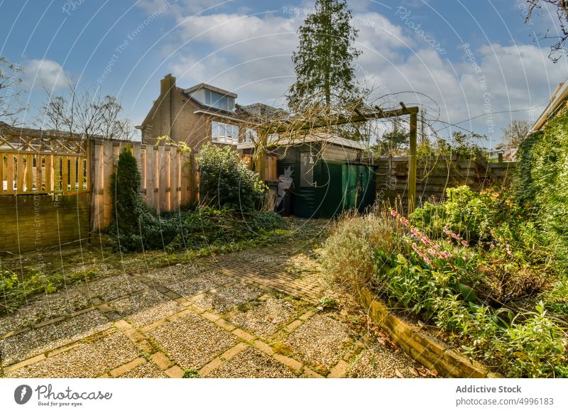 Hinterhof eines Hauses mit Bäumen und Grünpflanzen Pflanze Baum Gras grün im Freien Außenseite heimwärts Architektur Garten hölzern keine Menschen außerhalb