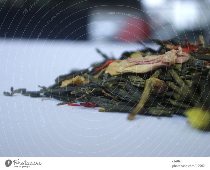 Grüner Tee - Kaktus grün Pflanze Blatt Blüte Haufen