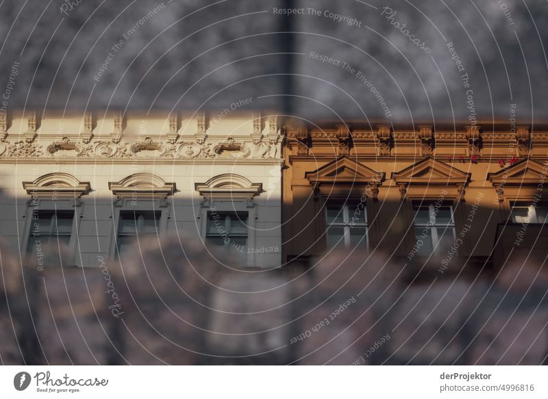 Historische Häuser spiegeln sich in einer Pfütze metropole Freiheit Großstadt Berlin Zentrum Panorama (Aussicht) Sonnenstrahlen urban Schönes Wetter Stadtleben