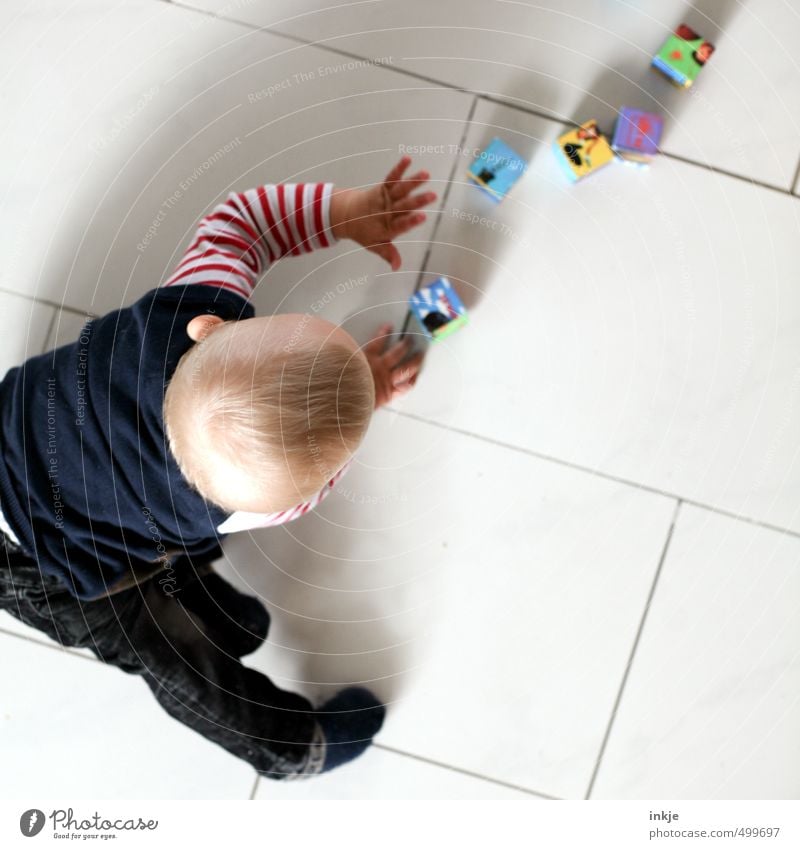 alea iacta est Freude Freizeit & Hobby Spielen Kinderspiel Würfelspiel Häusliches Leben Raum Küche Fliesen u. Kacheln Bodenbelag Kindererziehung Bildung