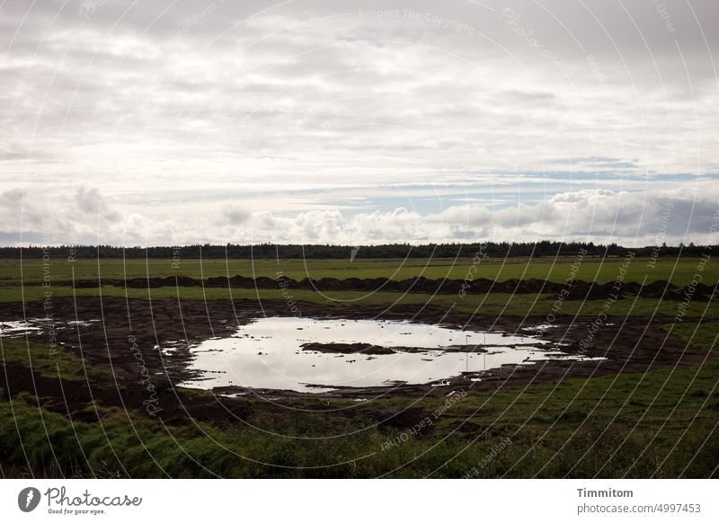 Merkwürdige Wasserfläche unter weitem Himmel Spiegelung Wolken Weite eben Wiese Büsche dunkel Natur Landschaft Dänemark Horizont Außenaufnahme blau weiß grün