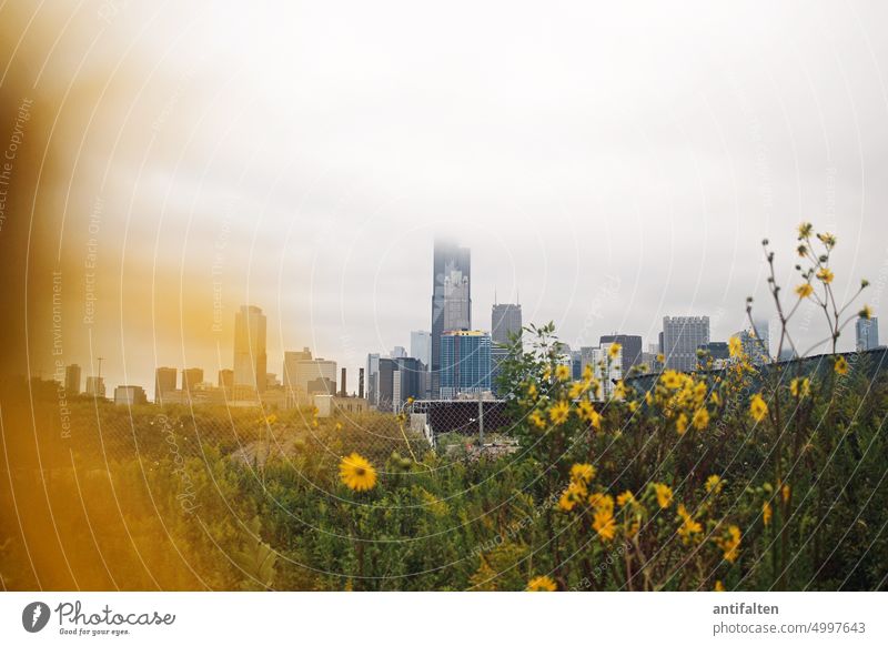 yellow Chicago USA Illinois City Stadt Skyline Chicago Fluß Hochhaus Stadtzentrum Großstadt urban Gebäude Außenaufnahme Stadtbild Architektur Wahrzeichen Fluss