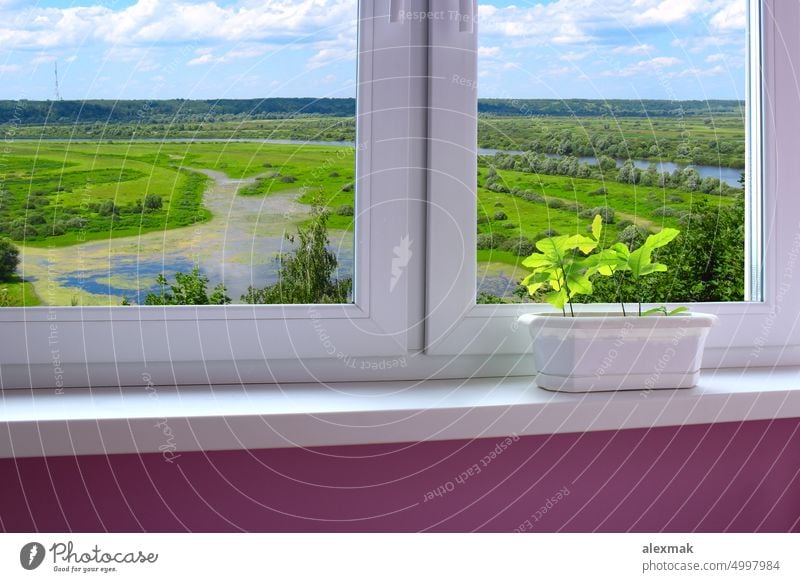 Pflanzen im Topf auf der Fensterbank und Blick in die Landschaft Bäume Bepflanzung Natur Fluss Wald Sommer Umwelt Jungpflanzen Setzling Baum Ansicht panorava