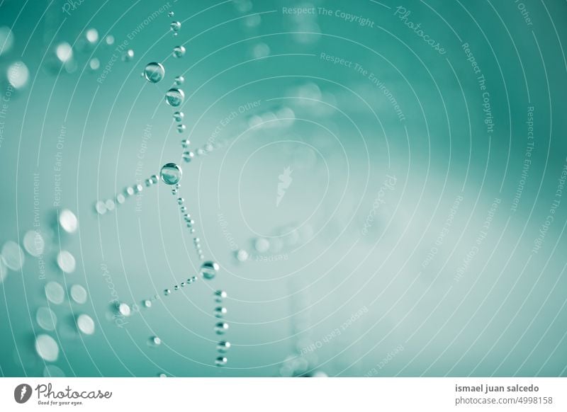 Regentropfen auf dem Spinnennetz an regnerischen Tagen Netz Natur Tropfen Tröpfchen Regenzeit hell glänzend im Freien abstrakt texturiert Hintergrund Wasser