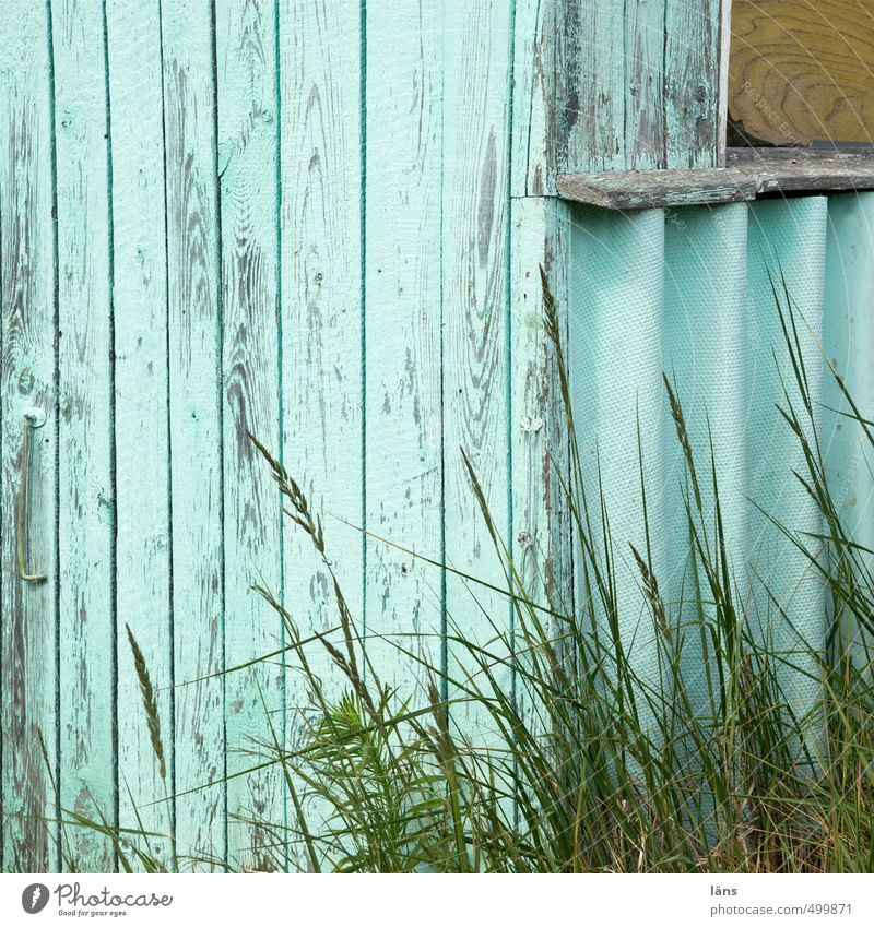 Fischershütte Gras Bansin Fischerdorf Hütte Holz alt authentisch positiv Farbe Wand Farbstoff Anstrich Farbfoto Außenaufnahme