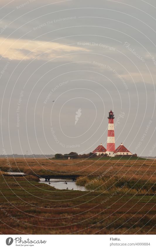 Leuchtturm Westerheversand an bewölktem Morgen Nordseeküste Landschaft Küste Außenaufnahme Natur Farbfoto Ferien & Urlaub & Reisen Tourismus Tag Himmel Wolken