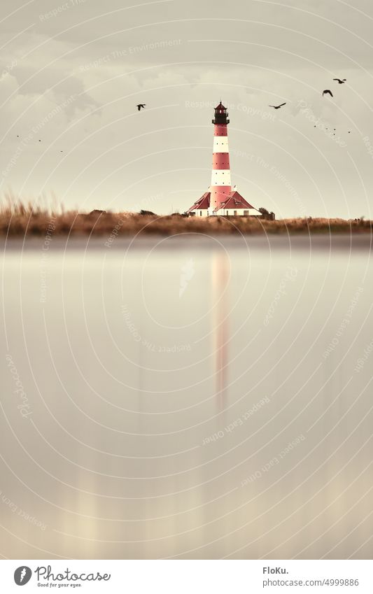 Westerheversand an der Nordseeküste Leuchtturm Nordfriesland Außenaufnahme Farbfoto Menschenleer Meer Tourismus Natur Ferien & Urlaub & Reisen