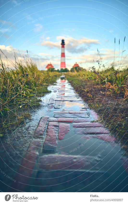 Stockenstieg vor dem Leuchtturm Westerheversand Nordseeküste Nordfriesland Außenaufnahme Farbfoto Menschenleer Meer Tourismus Natur Ferien & Urlaub & Reisen