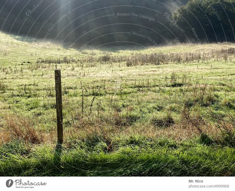 Weideland Wiese landwirtschaftlich Gras ländlich Weidezaun Natur Umwelt Grün Zaun Landleben Grünfläche Grasland Begrenzung elektrischer zaun Drahtzaun Zaunpfahl