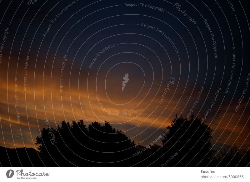 Sonnenuntergang mit leuchtend orangenen Wolken und schwarzen Bäumen davor Himmel Abend Abenddämmerung Landschaft Horizont Dämmerung rot blau