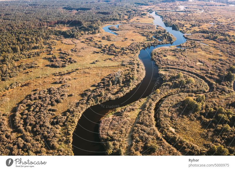 Luftaufnahme Grüner Wald Wälder und Flusslandschaft in sonnigen Sommertag. Top View of Beautiful European Nature From High Attitude In Summer Season. Drone Ansicht. Vogelperspektive Ansicht