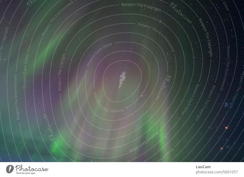 Kunst am Sternenhimmel Polarlicht Polarlichter Aurora borrealis Nachthimmel grün lila violett leuchten leuchtend Weltall Galaxie sternenklar Himmel