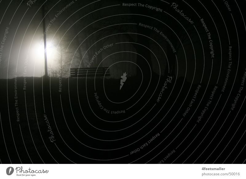 Shades Light Licht Baum Wald Laterne schwarz weiß mystisch dunkel Schatten Bank Straße hell geimnisvoll Wege & Pfade