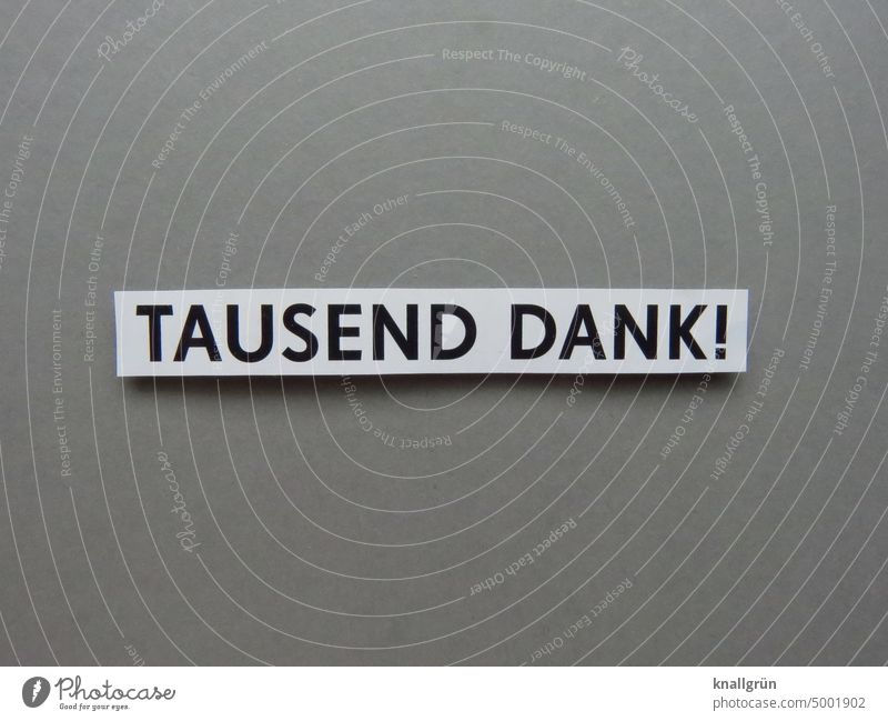 Tausend Dank! Danke Dankbarkeit Mitteilung dankbar bedanken danke schön Dankeschön Freude Buchstaben Farbfoto Wort Schriftzeichen Text Menschenleer Nahaufnahme