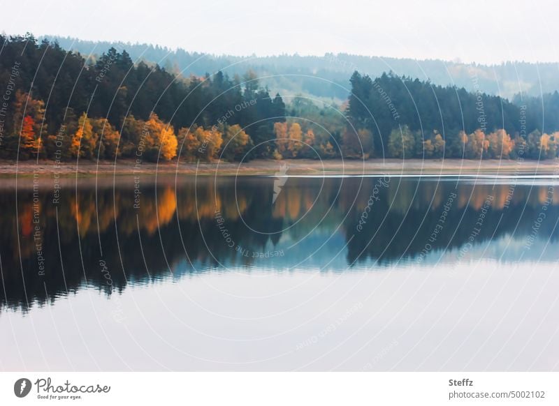 Herbst am Seeufer Herbstnebel Herbstwald verträumt Herbstfarben Ufer Herbstsee Spiegelung Herbstfärbung Wasserspiegelung ruhig Idylle Herbstbild friedlich Ruhe