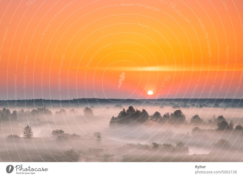 Amazing Sonnenaufgang Sonnenuntergang über neblige Landschaft. Scenic View Of Foggy Morning Sky With Rising Sun Above Misty Forest And River. Frühsommer Natur Osteuropas