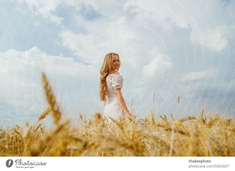 Sommer Frau Porträt in ländlichen Landschaft in Weizenfeld rustikal Natur Kleid Mode Lifestyle Windstille künstlerisch Feld allein jung Freiheit schön im Freien