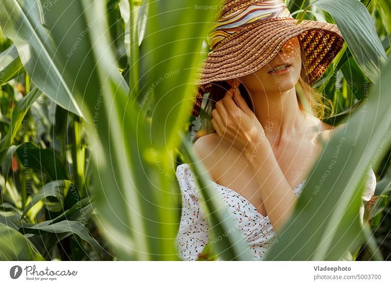 Sinnliches Frauenporträt in Maisblättern. Gesicht mit Hut bedeckt, Sommerkleid mit tiefem Ausschnitt sinnlich jung Porträt grün schön natürlich Kleid stylisch