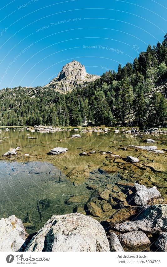 Grüne Berge am ruhigen Seeufer Berge u. Gebirge Blauer Himmel Wasser Reflexion & Spiegelung Windstille Fluss Baum Sauberkeit Ambitus Landschaft Pyrenäen lleida