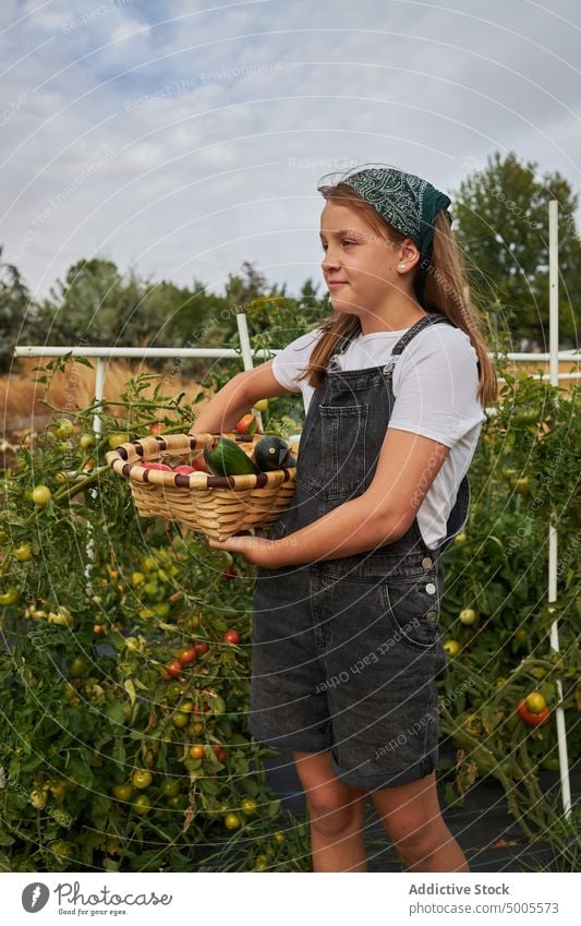 Lächelndes Mädchen mit Gemüse im Korb auf dem Lande Ernte Garten abholen Landschaft Saison Haufen frisch Ackerbau organisch Gärtner Ackerland Agronomie ländlich