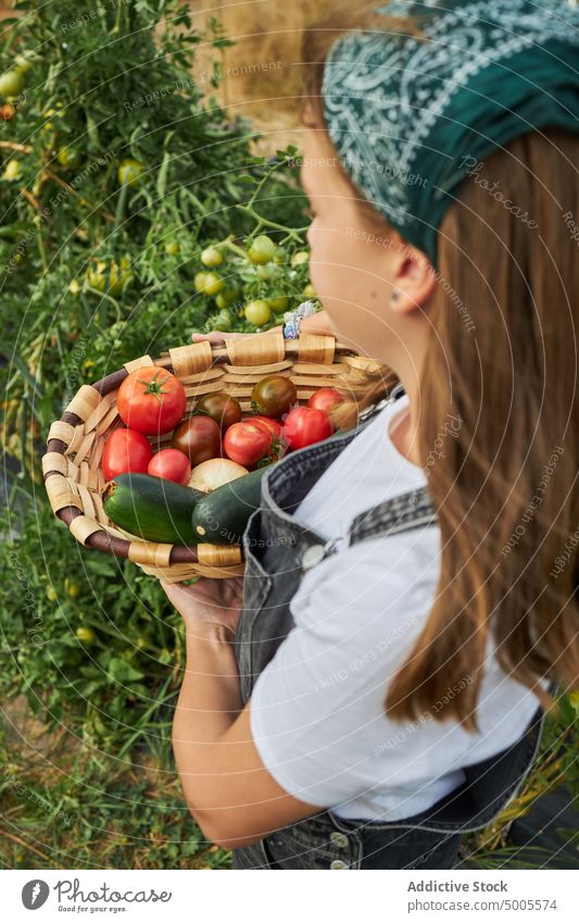 Mädchen mit Gemüse im Korb auf dem Lande Ernte Garten abholen Landschaft Saison Haufen frisch Ackerbau organisch Gärtner Ackerland Agronomie ländlich natürlich