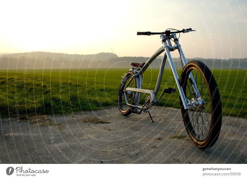 Ausgesetzt Fahrrad Cruiser Amerika Wiese Wald Licht Physik Gabel Am Rand Coolness Abend Landschaft Himmel Sonne Wärme Zufriedenheit Perspektive Einsamkeit