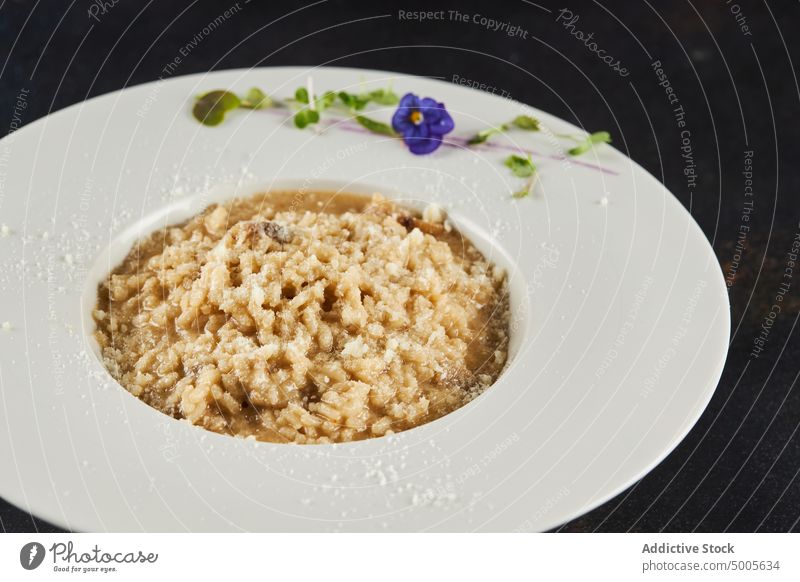 Porchini-Pilz-Risotto auf dem Teller Speise lecker Mittagessen sprießen Blume Garnierung dienen Lebensmittel Abendessen frisch italienische Küche geschmackvoll