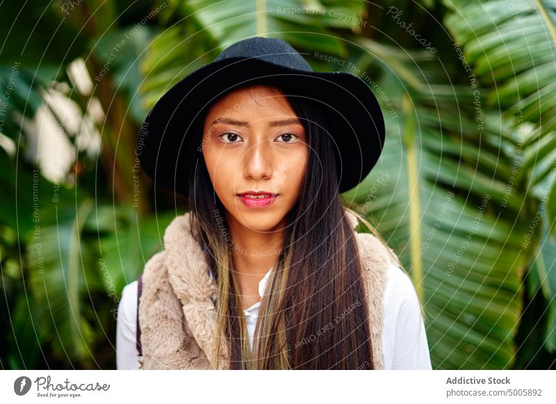 Stilvolle hispanische Frau in der Nähe von Büschen trendy Mode Straße Pflanze Buchse Outfit Strauch Blatt Kleidungsstück Bekleidung Charme feminin Stadt