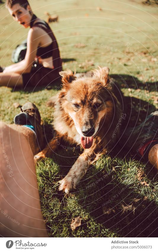 Nahaufnahme der Beine einer Frau mit Wanderstiefeln im Wald Natur Lifestyle im Freien Aktivität Menschen Fuß Gesundheit Sport aktiv jung Person Schuhe wandern