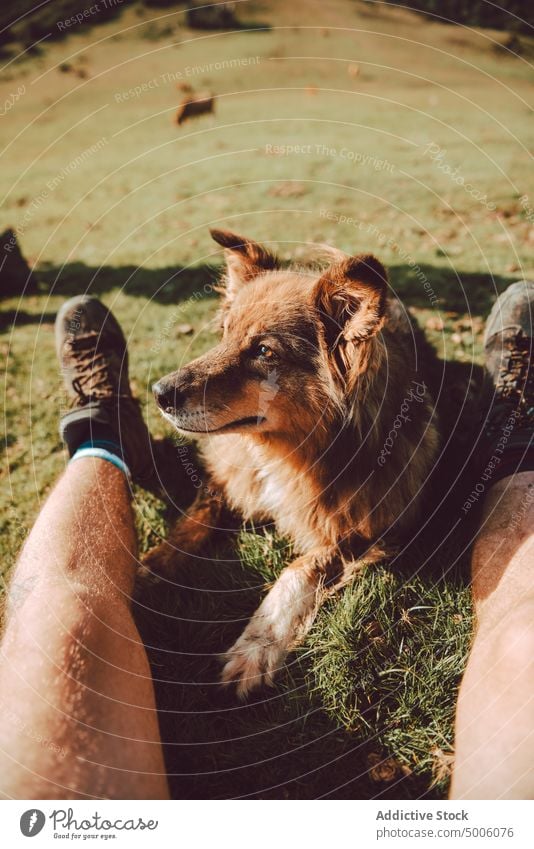 Nahaufnahme der Beine einer Frau mit Wanderstiefeln im Wald Natur Lifestyle im Freien Aktivität Menschen Fuß Gesundheit Sport aktiv jung Person Schuhe wandern