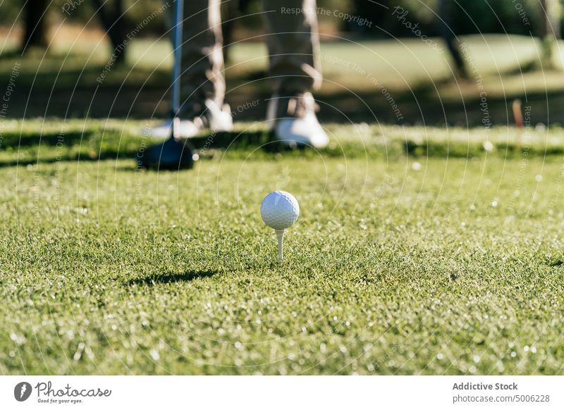 Golfball im grünen Feld mit Schatten Ball Sport natürlich Schläger und Ball Grün Gerät Landschaft Umwelt sehr wenige uneben klein Konfektionsgröße Ökologie