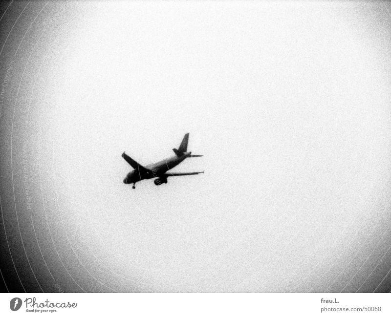 Flugzeug körnig Grauwert Finkenwerder Beginn Holga Luftverkehr Schwarzweißfoto Dinge Himmel Reaktionen u. Effekte Ferien & Urlaub & Reisen