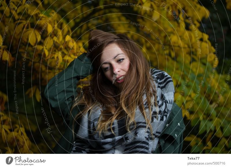 Herbstposieren Mensch feminin Junge Frau Jugendliche 1 18-30 Jahre Erwachsene Umwelt Natur Landschaft Pflanze Gefühle Stimmung Farbfoto Gedeckte Farben