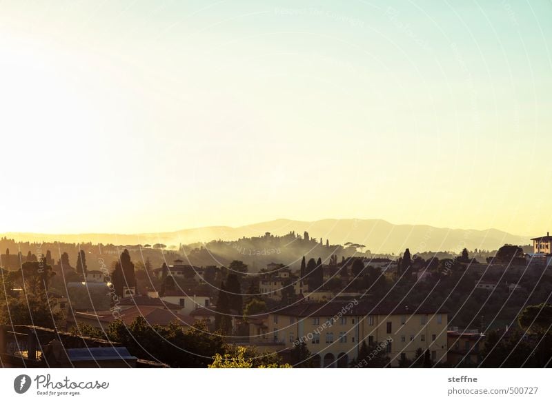 Toskanischer Abend Landschaft Sonne Sonnenaufgang Sonnenuntergang Sonnenlicht Herbst Schönes Wetter Baum Hügel Florenz Toskana Italien Altstadt Skyline Haus