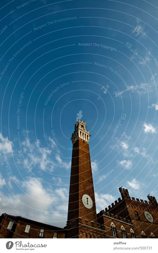 1234, Iss! Himmel Schönes Wetter Siena Toskana Italien Kleinstadt Altstadt Turm Mauer Wand Sehenswürdigkeit Wahrzeichen hoch torre del mangia Farbfoto