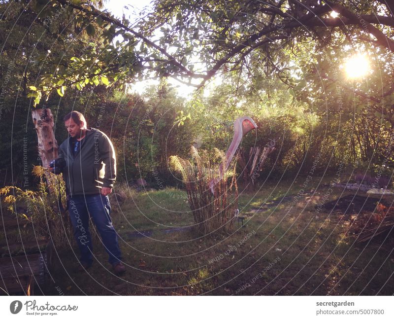 Da ist was im Busch! Garten Schrebergarten Mann Fotografieren Fotokamera Sonnenuntergang romantisch wild wuchern Urwald Mensch Freizeit & Hobby Erwachsene